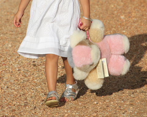 Tambo Teddies - Tourism Brisbane 2