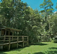 Terania Creek Picnic Area - Tourism Brisbane