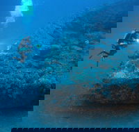 The Zanoni Wreck - Tourism Brisbane