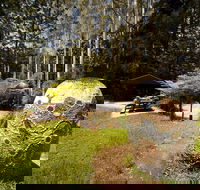 The Pines Picnic Area - Tourism Brisbane