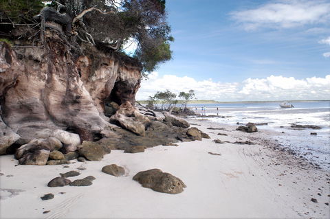 Tinnanbar - Tourism Brisbane 0
