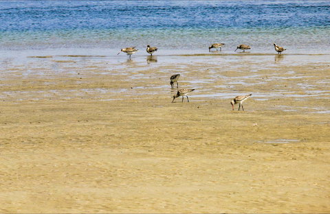 Towra Beach - Tourism Brisbane 0