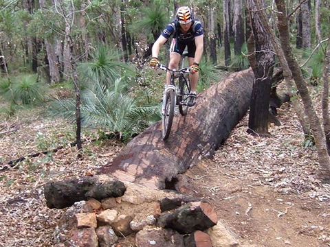 Turner Hill Mountain Bike Trail, Murray - Tourism Brisbane 0