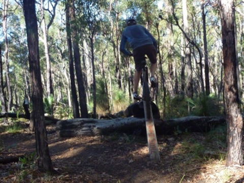 Turner Hill Mountain Bike Trail, Murray - Tourism Brisbane 1