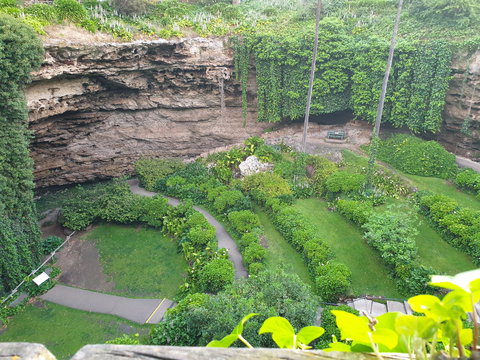 Umpherston Possum Tours - Brisbane Tourism 2