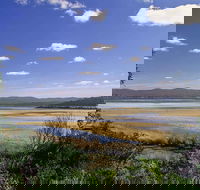 Wallagoot Lake Picnic Area and Boat Ramp - Tourism Brisbane