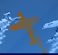 Warbird Aerial Adventures - Brisbane Tourism