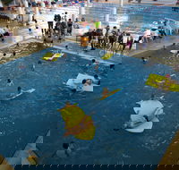 Wodonga Sports and Leisure Centre - Tourism Brisbane