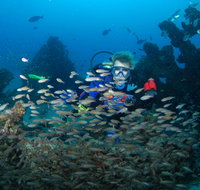 Aarhus Dive Site - Tourism Brisbane
