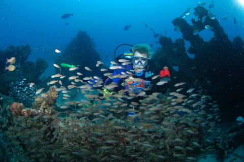 Aarhus Dive Site - Brisbane 4u 0