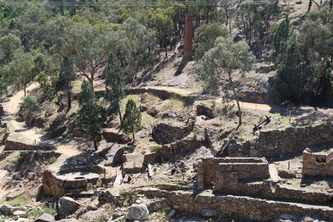 Adelong Falls Gold Mill Ruins - Brisbane Tourism 0