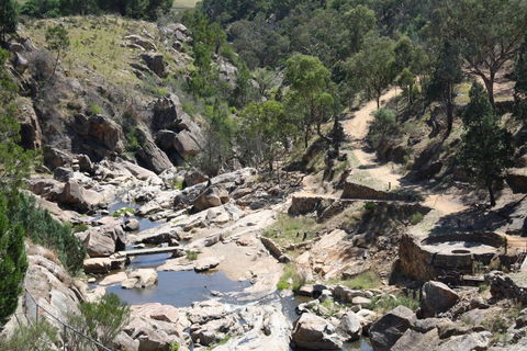 Adelong Falls Gold Mill Ruins - Brisbane Tourism 1