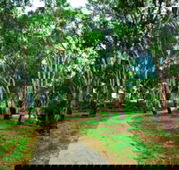 Adungadoo Pathway - Tourism Brisbane