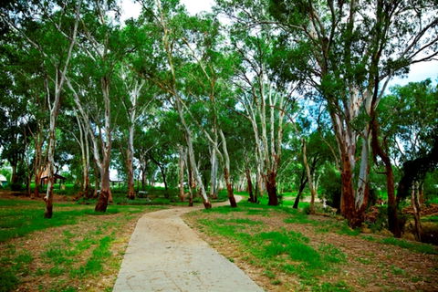 Adungadoo Pathway - Tourism Brisbane 0