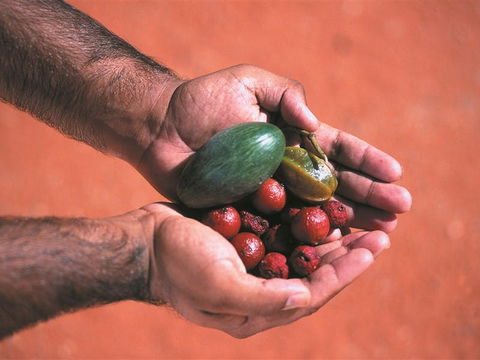 Alice Springs And Surrounds - Brisbane 4u 1