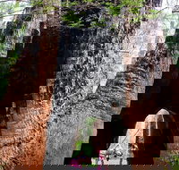 Ancient Empire Walk Valley of the Giants - Brisbane 4u
