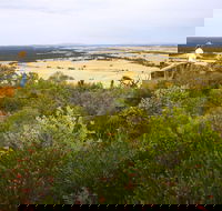 Archer Drive Scenic Drive and Lookout - Tourism Brisbane