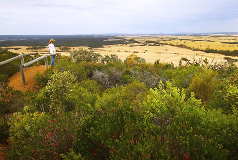 Archer Drive Scenic Drive And Lookout - Tourism Brisbane 0