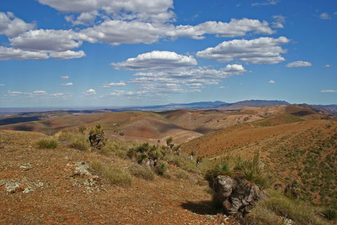 Arden Hills 4WD Track. - Tourism Brisbane 0