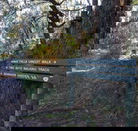 Arthurs Seat to Kings Falls Walk - Brisbane 4u