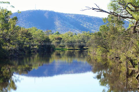 Avon Park - Tourism Brisbane 1
