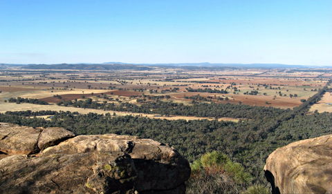 Basin Gully To Eualdrie Lookout Track - Tourism Brisbane 0