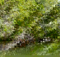 Berry Springs Nature Park - Brisbane 4u