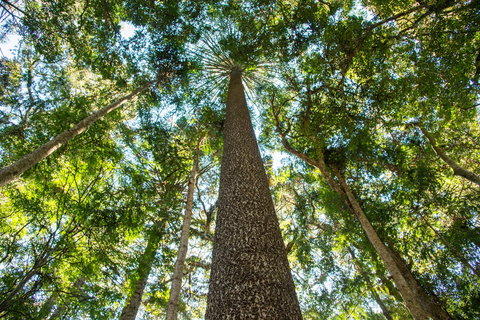 Big Sky National Parks - Brisbane Tourism 0