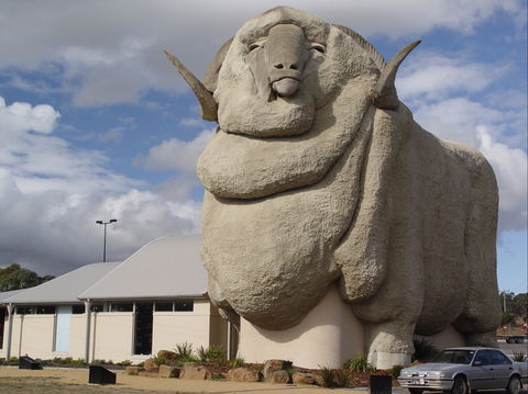Big Merino - Tourism Brisbane 0