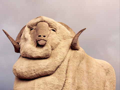 Big Merino - Tourism Brisbane 1