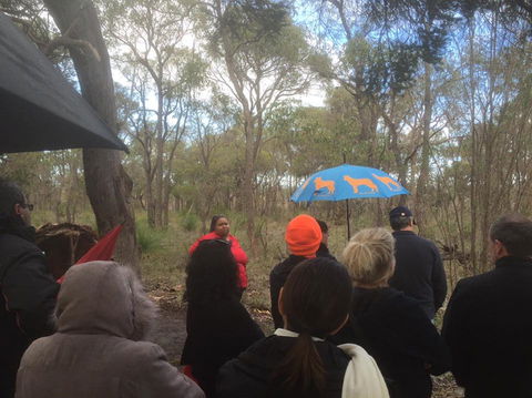 Bindjareb Cultural Park - Tourism Brisbane 2