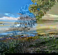 Black Oaks Picnic Area - Tourism Brisbane