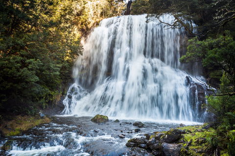 Bridal Veil, Champagne And No Name Falls - Brisbane Tourism 0