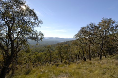 Bunyip State Park - Tourism Brisbane 0