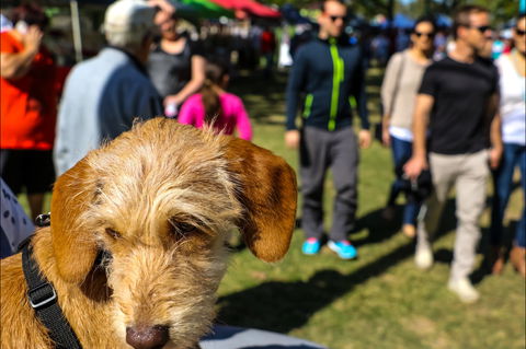 Burleigh Art And Craft Markets - Brisbane Tourism 2