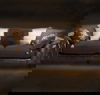 Cargo Lane - Brisbane Tourism