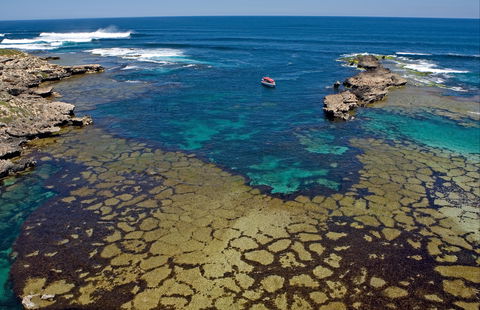Cathedral Rocks Viewing Platform - Tourism Brisbane 0