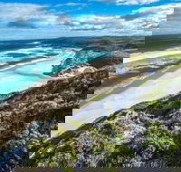Conspicuous Cliff - Brisbane 4u