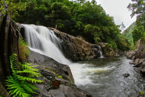 Crystal Cascades - Brisbane Tourism 1