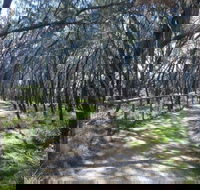 Federation Walk - Tourism Brisbane