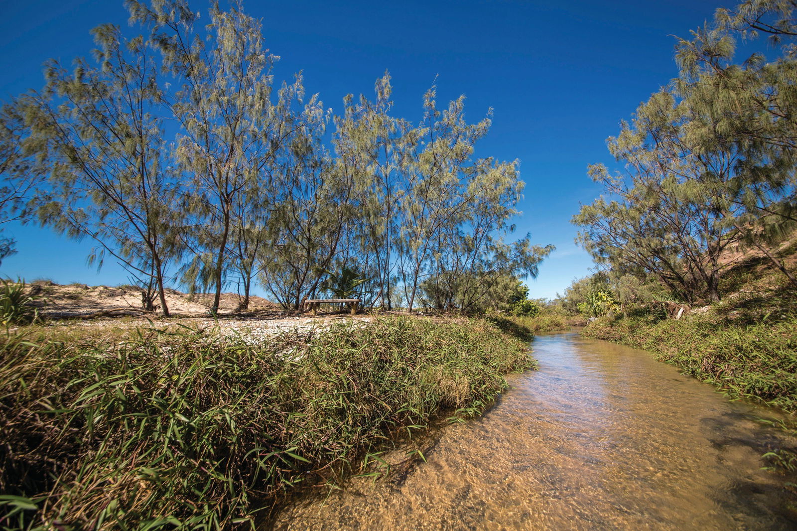 Farnborough QLD Tourism Brisbane
