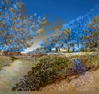 Freshwater Creek Track Byfield National Park - Tourism Brisbane
