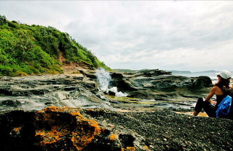 Glenrock State Conservation Area - Tourism Brisbane 0