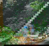 Gloucester National Park - Tourism Brisbane