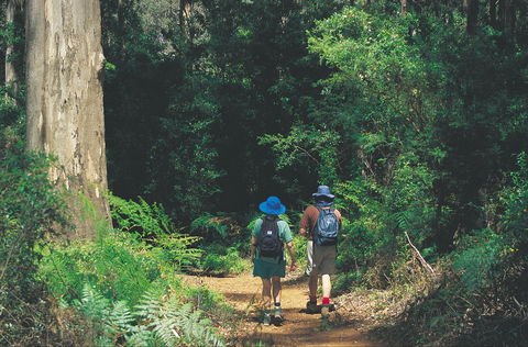 Gloucester National Park - Brisbane Tourism 0