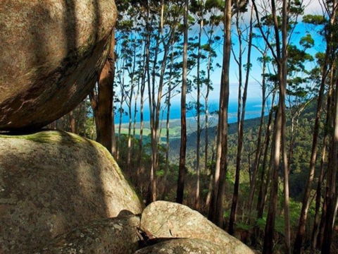 Gulaga Mountain Walk - Tourism Brisbane 0