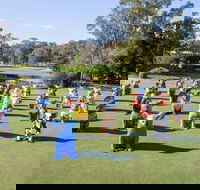 Hello Koalas Sculpture Trail - Brisbane 4u