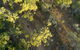 Hillview Drive Reserve - thumb 2