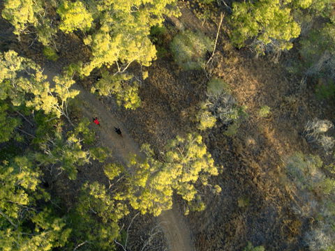 Hillview Drive Reserve - Tourism Brisbane 2