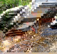 Honey Tasmania - The Beehive - Tourism Brisbane